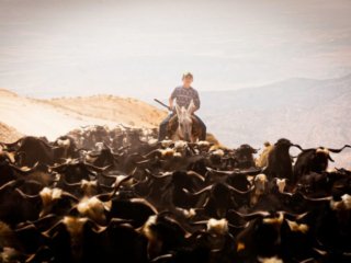 portrait photography