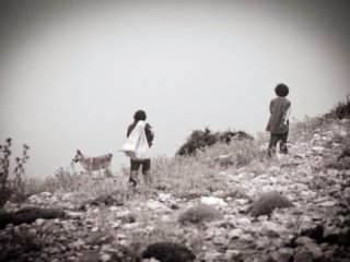 portrait photography