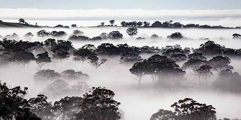 Captivating Autumn and Winter Photos