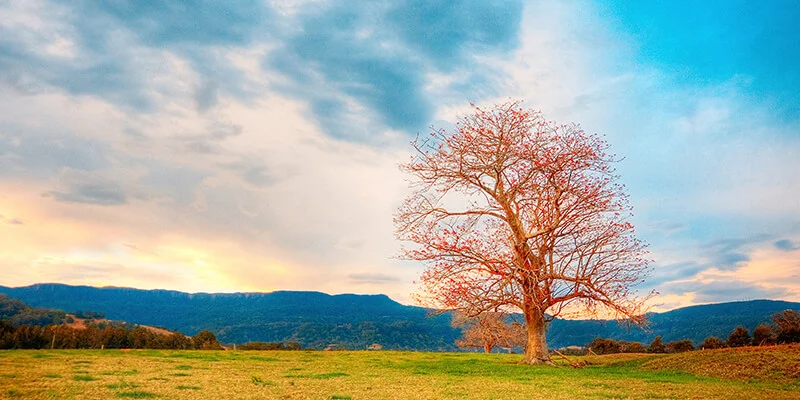 autumn-photography