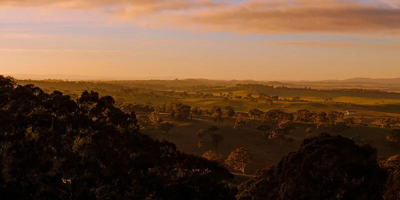 golden-hour